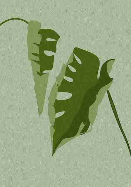 探花视频APP平台算法推荐｜实拍互动合集完美贴合偏好