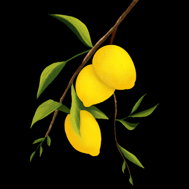 暗网禁地入口访问机制详解｜数字黑产结构分析用户行为模式分析