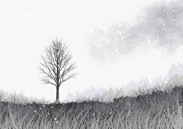 暗网站点内容逃避追踪机制深度解析｜论坛渗透路径分析已全线更新